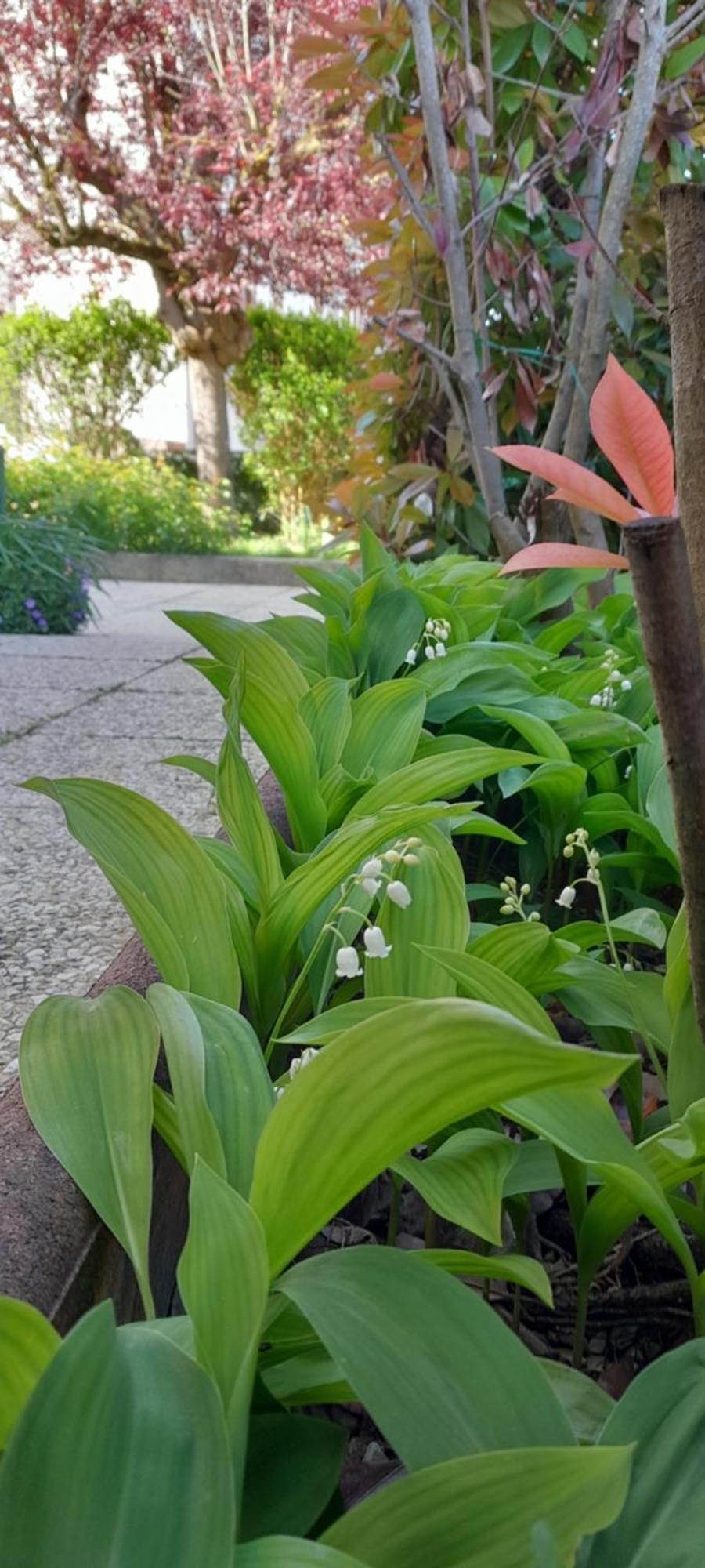 Un Brin De Bonheur Villa Troyes Bagian luar foto